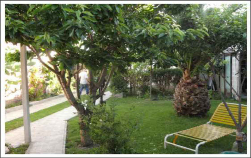 Camping para acampar en Miramar